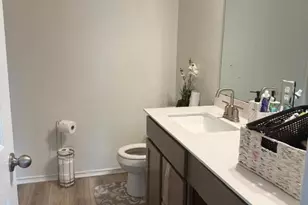 1109 Aronia Ln, Georgetown, TX 78626 - Photo 10