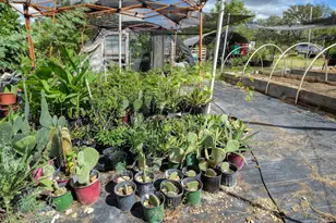 1114 Spotted Horse Trail, Dale, TX 78616 - Photo 2