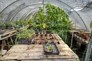 1114 Spotted Horse Trail, Dale, TX 78616 - Photo 32