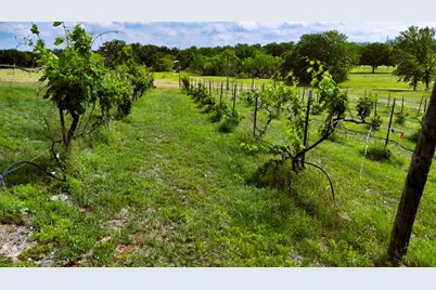 171 County Road 117 Road, Llano, TX 78643 - Photo 30
