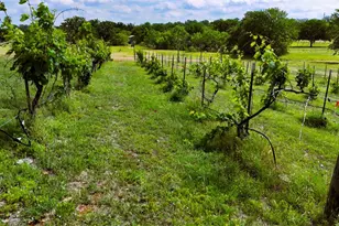 171 County Road 117 Rd, Llano, TX 78643 - Photo 30