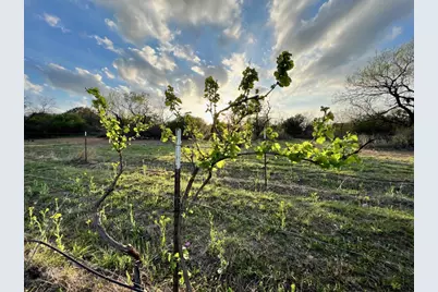 171 County Road 117 Road, Llano, TX 78643 - Photo 26