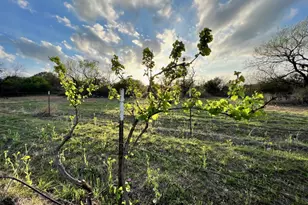 171 County Road 117 Rd, Llano, TX 78643 - Photo 26
