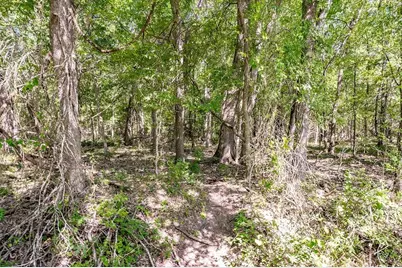 1703 Post Oak Road, La Grange, TX 78945 - Photo 14