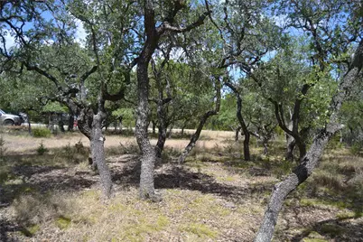 270 Gant Road, Dripping Springs, TX 78620 - Photo 6