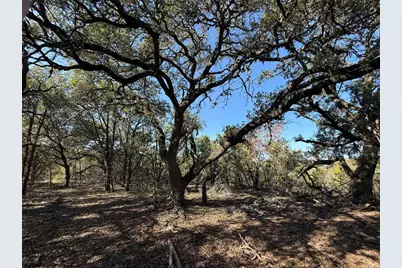 221 Ranch House Road, Wimberley, TX 78676 - Photo 4
