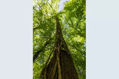 100 Paia Lane, Bastrop, TX 78602 - Photo 24