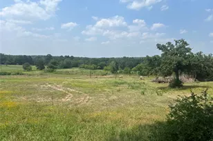 702 Paint Creek Rd, McDade, TX 78650 - Photo 10