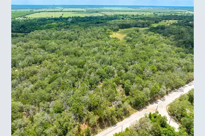 169 Kaaawa Lane, Bastrop, TX 78602 - Photo 4