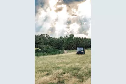 17650 Hamilton Pool Road, Austin, TX 78738 - Photo 4