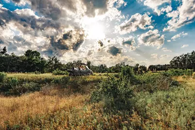 17650 Hamilton Pool Road, Austin, TX 78738 - Photo 10