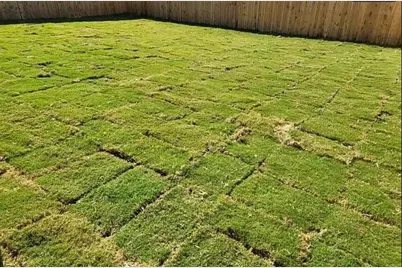 3012 Shore Lark, New Braunfels, TX 78130 - Photo 20