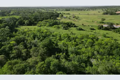 285 Watterson School Road, Red Rock, TX 78662 - Photo 4