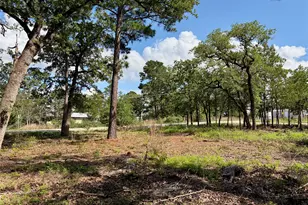 Lots-95/96 Shawnee Dr, Smithville, TX 78957 - Photo 1