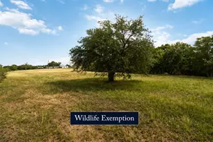 227 Henderson Ln, Lockhart, TX 78644 - Photo 38