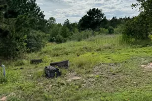 109 Pintail Ln, Paige, TX 78659 - Photo 1