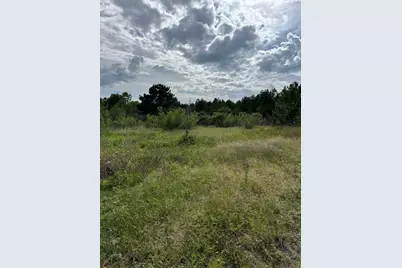 109 Pintail Lane, Paige, TX 78659 - Photo 4