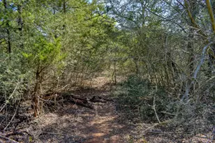 138 Wood Hollow Ct, Bastrop, TX 78602 - Photo 38