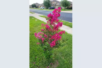 213 Camellia Drive, Hutto, TX 78634 - Photo 2