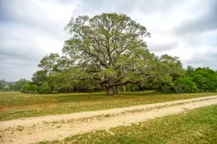 323 Cr 446, Gonzales, TX 78629 - Photo 1