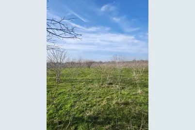 323 Cr 446, Gonzales, TX 78629 - Photo 24