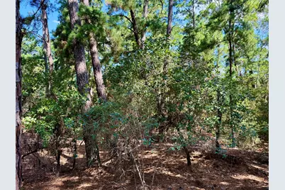 112, 114, 118 Kaimuki Court, Bastrop, TX 78602 - Photo 10