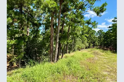 112, 114, 118 Kaimuki Court, Bastrop, TX 78602 - Photo 4