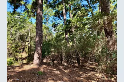 112, 114, 118 Kaimuki Court, Bastrop, TX 78602 - Photo 10