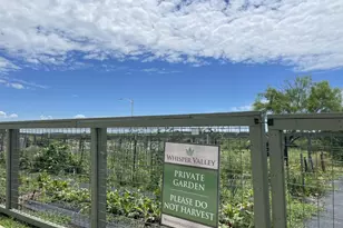 9709 Morning Iris Dr, Manor, TX 78653 - Photo 20