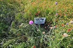 Lot 23 Serenity Dr, Bertram, TX 78605 - Photo 6