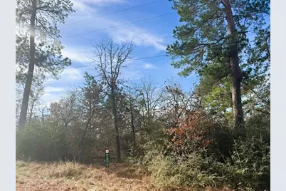 106 Olomana Court, Bastrop, TX 78602 - Photo 2