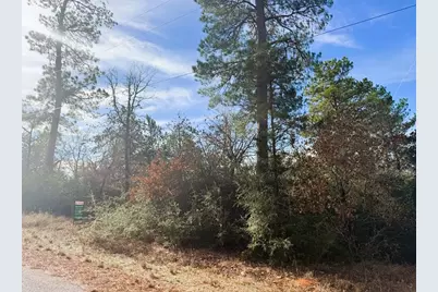 106 Olomana Court, Bastrop, TX 78602 - Photo 4