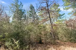 106 Olomana Ct, Bastrop, TX 78602 - Photo 1