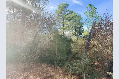 106 Olomana Court, Bastrop, TX 78602 - Photo 6