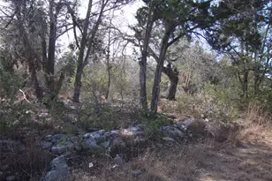 2023 Harmon Hills Rd, Dripping Springs, TX 78620 - Photo 28