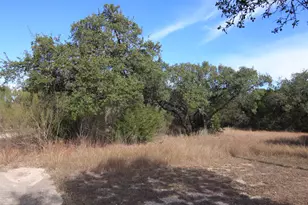 2023 Harmon Hills Rd, Dripping Springs, TX 78620 - Photo 26