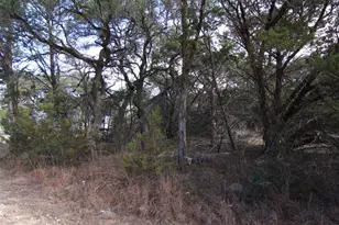 2023 Harmon Hills Rd, Dripping Springs, TX 78620 - Photo 6