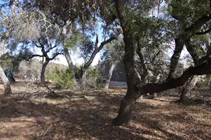 2023 Harmon Hills Rd, Dripping Springs, TX 78620 - Photo 32