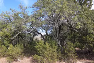 2023 Harmon Hills Rd, Dripping Springs, TX 78620 - Photo 18