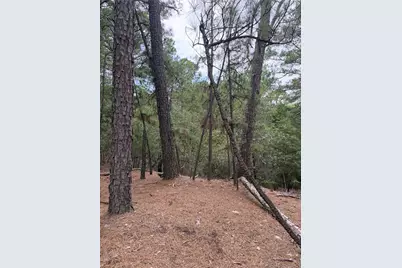 Lot 216 Hekili Drive, Bastrop, TX 78602 - Photo 8