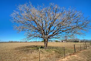 273 Bob's Trail, Bastrop, TX 78602 - Photo 26