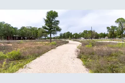 171 Comancheria Trail, Elgin, TX 78621 - Photo 10
