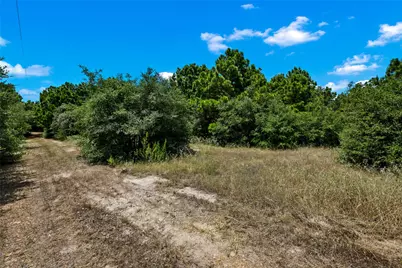 186 Hook Em Horns Drive, Paige, TX 78659 - Photo 16