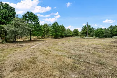 186 Hook Em Horns Drive, Paige, TX 78659 - Photo 26