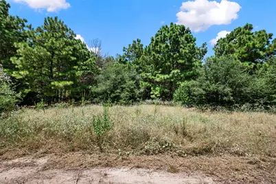 186 Hook Em Horns Drive, Paige, TX 78659 - Photo 32