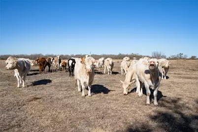 Tbd Richards Drive, Del Valle, TX 78617 - Photo 12