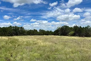 2452 Stone Crk Ranch Dr, Evant, TX 76525 - Photo 10