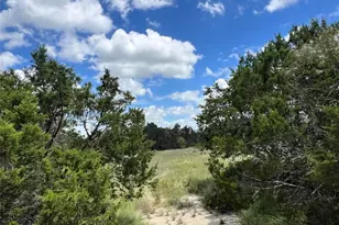 2452 Stone Crk Ranch Dr, Evant, TX 76525 - Photo 4