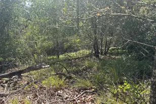 Lot 1541 Pahoiki Ln, Bastrop, TX 78602 - Photo 1