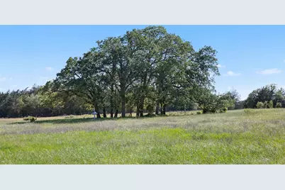 1310 N Nassau Road, Round Top, TX 78954 - Photo 2